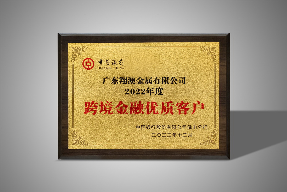 Excellent cross-border financial Customer in 2022