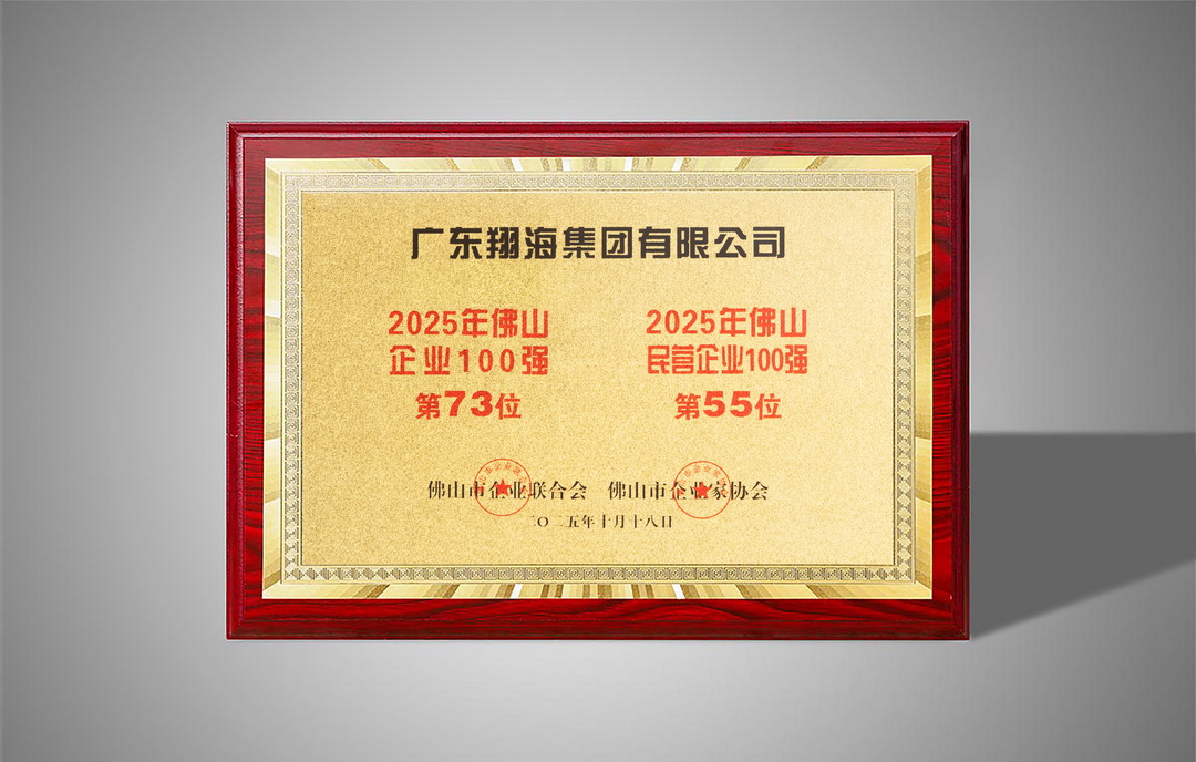 Top 100 Enterprises in Foshan in 2025